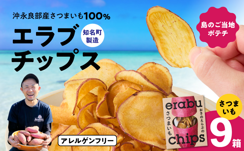 erabu chips（さつまいも） 9箱セット　C068-002-09