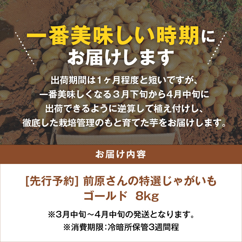 【2025年先行予約】前原さんの特選じゃがいも ゴールド8kg 　C062-001