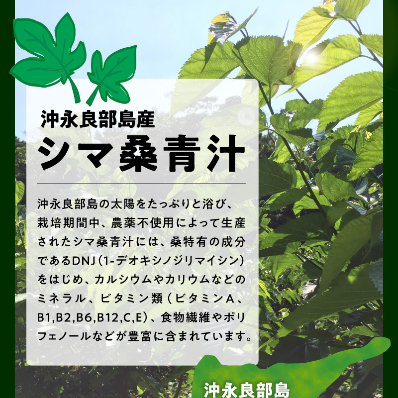 ＜低価格返礼品＞JAS認定！シマ桑青汁 5包入り　C001-002-01