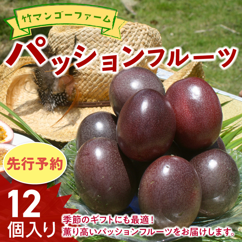 【2026年先行予約】竹マンゴーファーム パッションフルーツ（12個入り）　C039-001