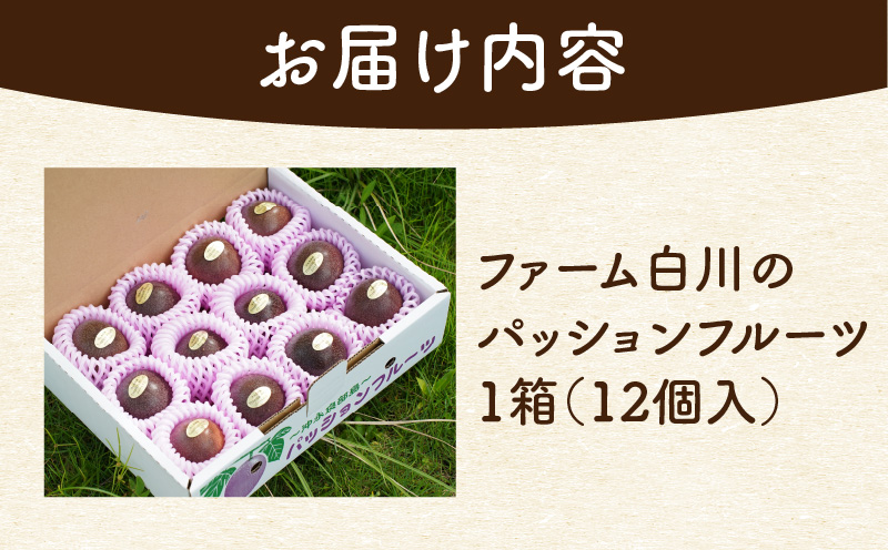【2026年先行予約】紫の宝石！ファーム白川のパッションフルーツ 12個　C032-004