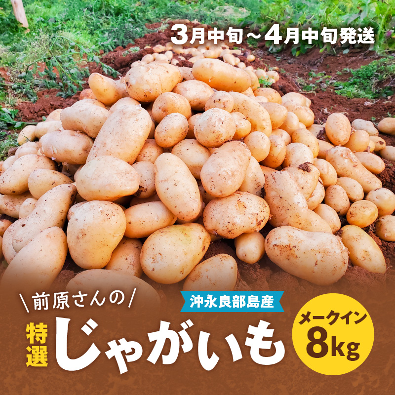 ã2026幎å
è¡äºçŽãååããã®ç¹éžããããã ã¡ãŒã¯ã€ã³8kgãC062-002