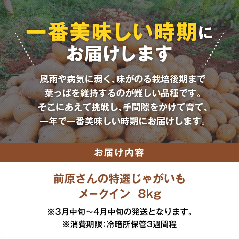 ã2026幎å
è¡äºçŽãååããã®ç¹éžããããã ã¡ãŒã¯ã€ã³8kgãC062-002