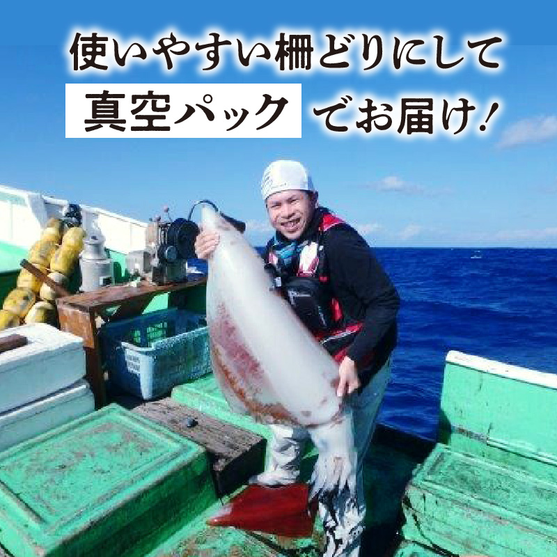 沖永良部島 イカの王様！ソデイカ 500g　C010-022