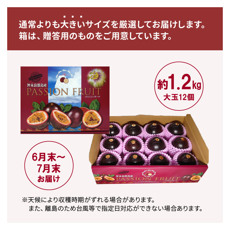 【2026年先行予約】えみちゃん農園 大玉パッションフルーツ（12個入り）　C008-004