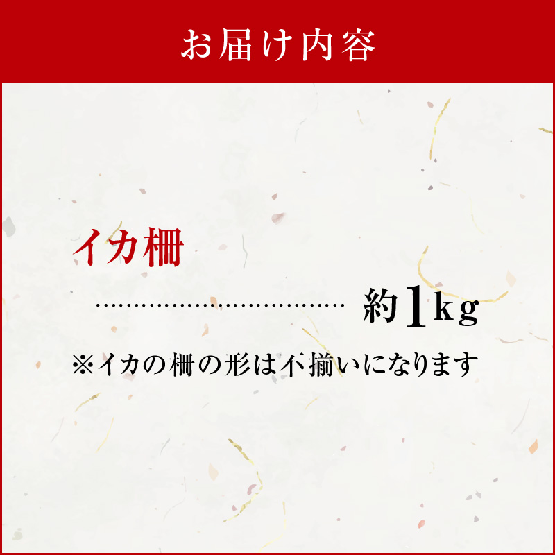 沖永良部島 イカの王様！ソデイカ 1kg　C010-023