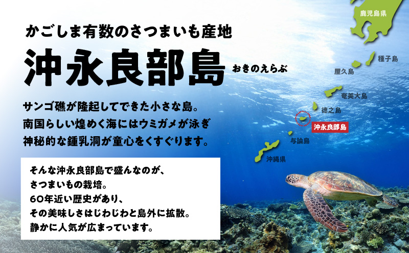 erabu chips（さつまいも） 18箱セット　C068-002-18