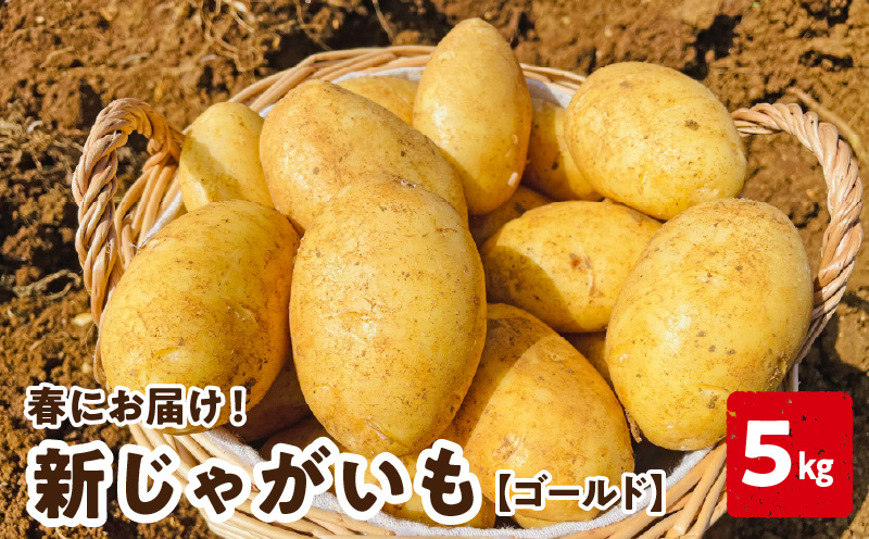 【2026年先行予約受付中】新じゃがいも ゴールド 5kg＜3月お届け＞　C056-006-01