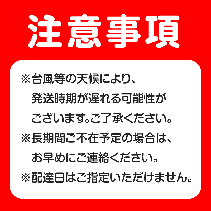 【2025年先行予約】完熟！パッションフルーツ（12個入り）　C065-001-01