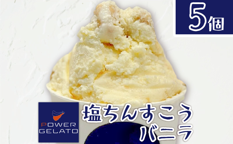POWER GELATO（塩ちんすこうバニラ）90ml×5個入り　C073-005-01