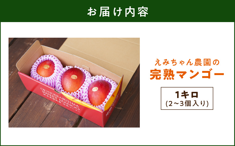 【2026年先行予約】えみちゃん農園の完熟マンゴー1キロ（2〜3個入り）　C008-006