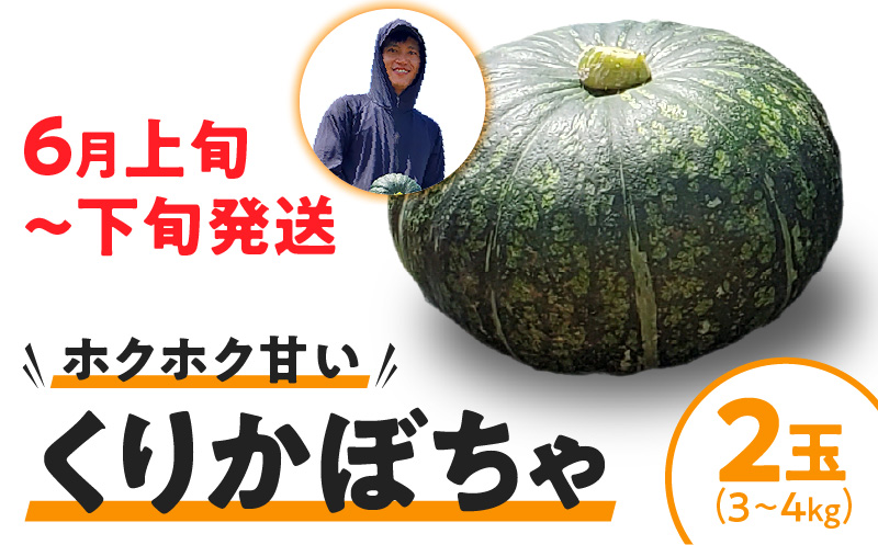 【2026年先行予約】くりかぼちゃ 2玉　C062-003-01