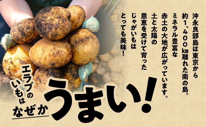 erabu chips（塩） 9箱セット　C068-001-09