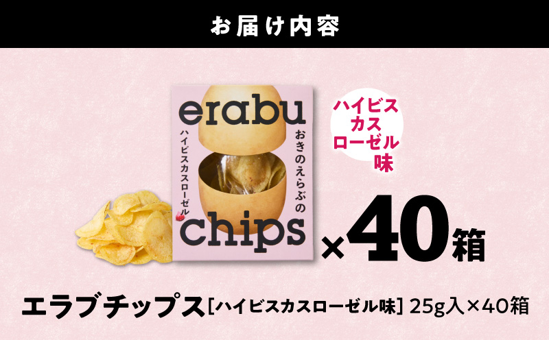 erabu chips（ハイビスカスローゼル） 40箱セット　C068-003-40