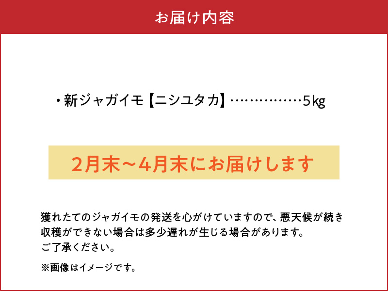 【2025年先行予約】沖永良部の赤土で育った新ジャガイモ 5kg（ニシユタカ）2～4月お届け　C054-001-01