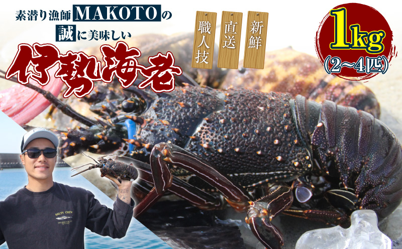 素潜り漁師MAKOTOの誠に美味しい伊勢海老 1kg（2〜4匹）　C074-001
