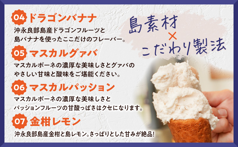 POWER GELATO（ミックスセット6個入り）　C073-004-01