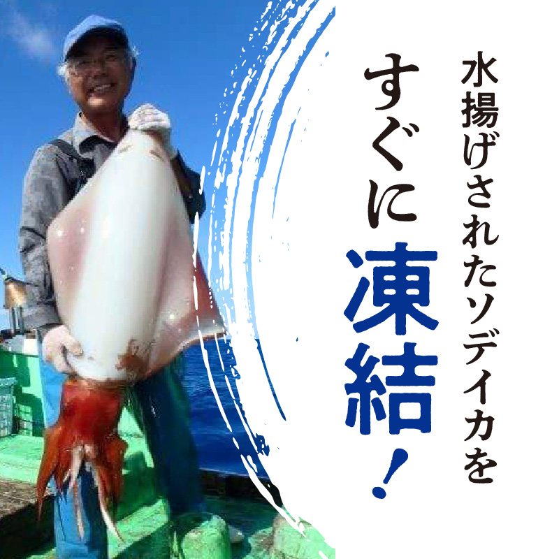 沖永良部島 天然イセエビ 5kg・ソデイカ 3kg　C010-018