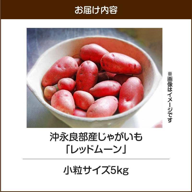 【2025年先行予約】沖永良部産じゃがいも『レッドムーン』小粒サイズ5kg　C065-002-01