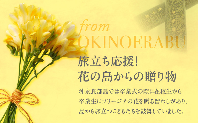 ãå
è¡åä»ãããªãŒãžã¢çæ ¹ïŒé»è²ïŒ500gãC076-001-01