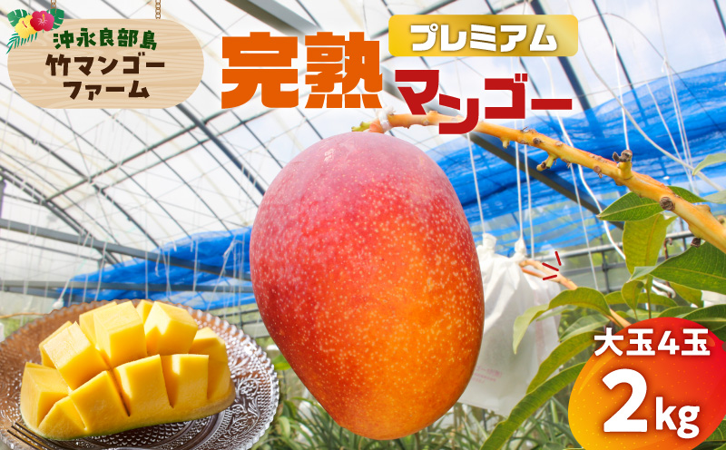 【2026年先行予約】竹マンゴーファームのプレミアム完熟マンゴー2キロ（大玉4個入り）　C039-007