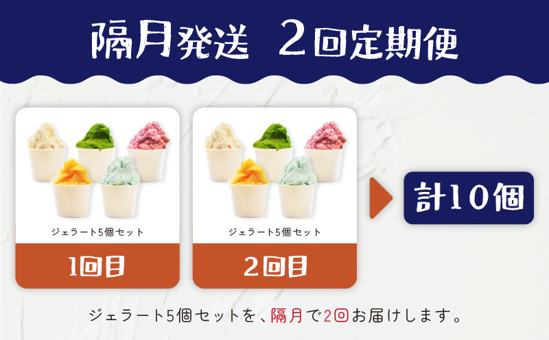 【全2回定期便】花火大会応援！島の人気店、島の特産品とパワーをジェラートに！島の特産品を活かしたフレーバー！ジェラート 5個セット　C073-T01