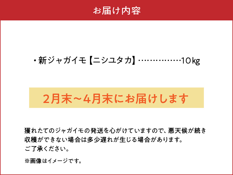 【2025年先行予約】沖永良部の赤土で育った新ジャガイモ 10kg（ニシユタカ）2～4月お届け　C054-001-02