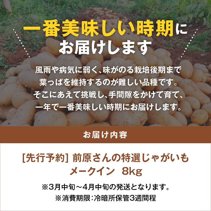 【2025年先行予約】前原さんの特選じゃがいも メークイン8kg　C062-002