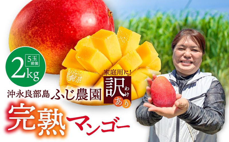 【2026年先行予約】【訳あり】おいしさそのまま！ふじ農園の完熟マンゴー2kg　C031-003
