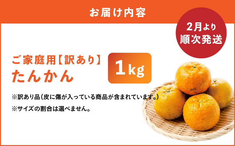 【2026年先行予約】＜ご家庭用＞訳あり たんかん 1kg（2026年2月より順次発送）　C071-001-01