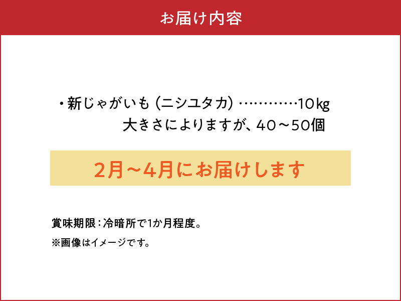 【2025年先行予約】新じゃがいも ニシユタカ 10kg 4月お届け　C056-005-03