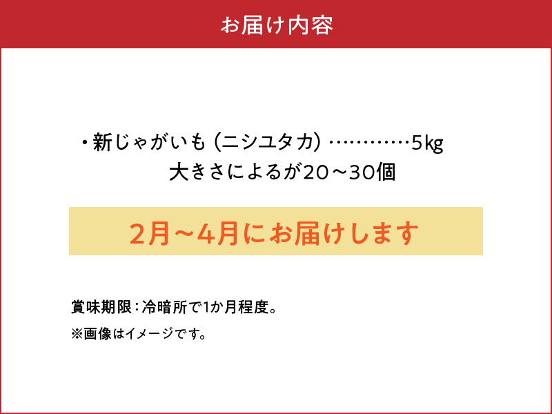 【2025年先行予約】新じゃがいも ニシユタカ5kg 3月お届け　C056-004-02