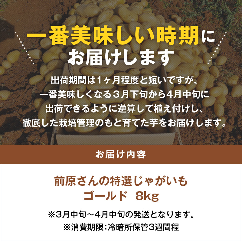 ã2026幎å
è¡äºçŽãååããã®ç¹éžããããã ãŽãŒã«ã8kgãC062-001