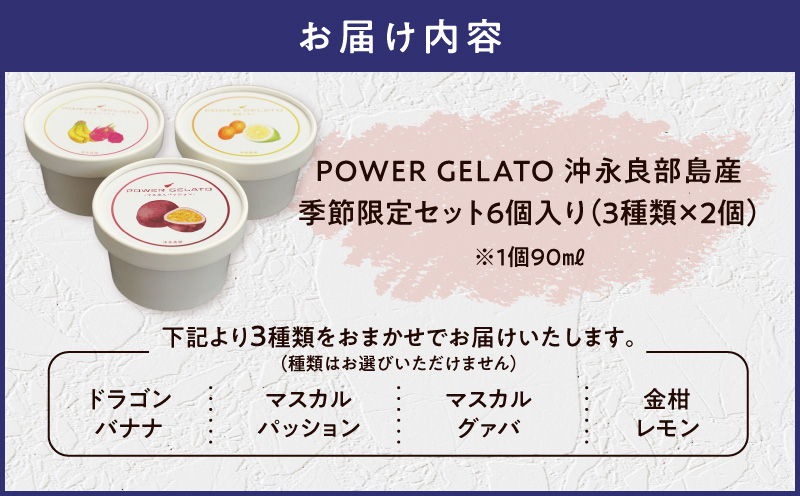 POWER GELATOïŒå£ç¯éå®ã»ãã6åå
¥ãïŒãC073-003-01