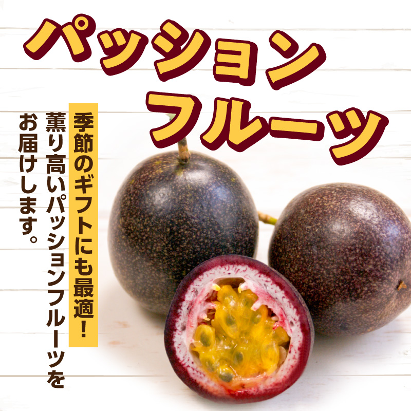 【2026年先行予約】竹マンゴーファーム パッションフルーツ（12個入り）　C039-001