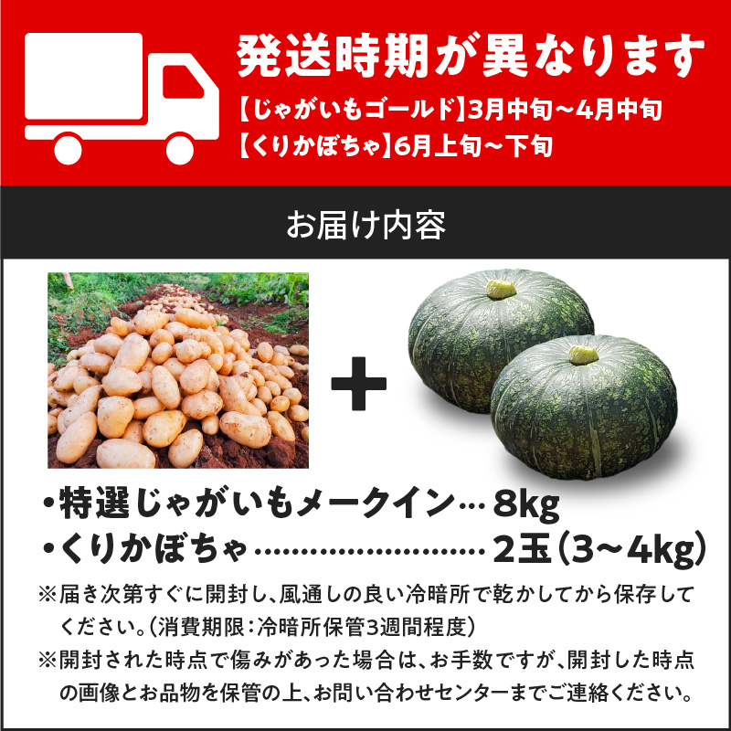 【2026年先行予約】前原さんの特選 じゃがいも メークイン 8kg＆くりかぼちゃ 2玉　C062-T05