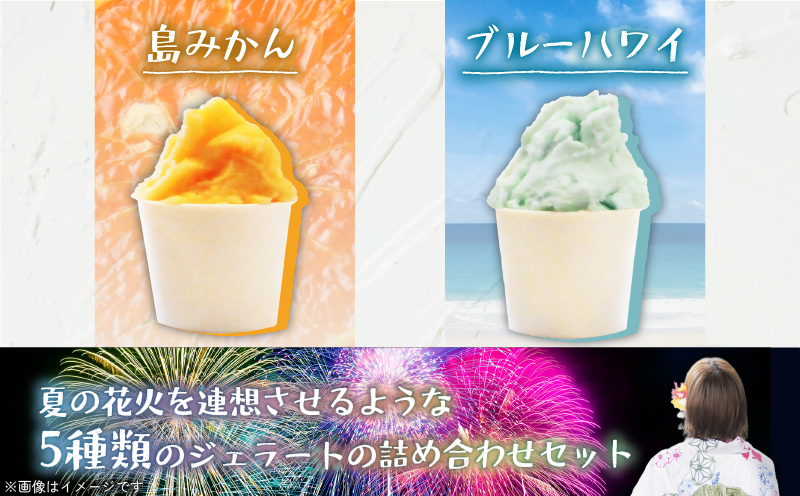 【全2回定期便】花火大会応援！島の人気店、島の特産品とパワーをジェラートに！島の特産品を活かしたフレーバー！ジェラート 5個セット　C073-T01