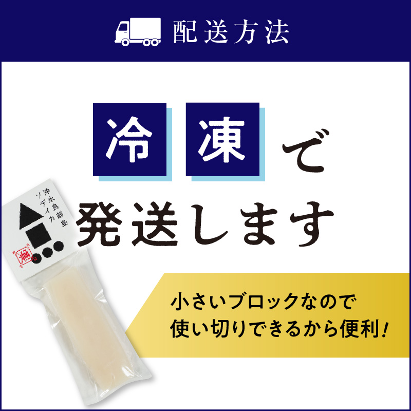 沖永良部島 イカの王様！ソデイカ 1.5kg　C010-024