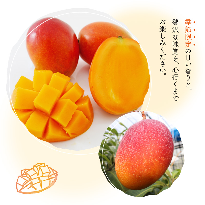 えみちゃん農園の完熟マンゴー2キロ（5～6個入り）