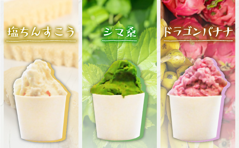 【全2回定期便】花火大会応援！島の人気店、島の特産品とパワーをジェラートに！島の特産品を活かしたフレーバー！ジェラート 5個セット　C073-T01