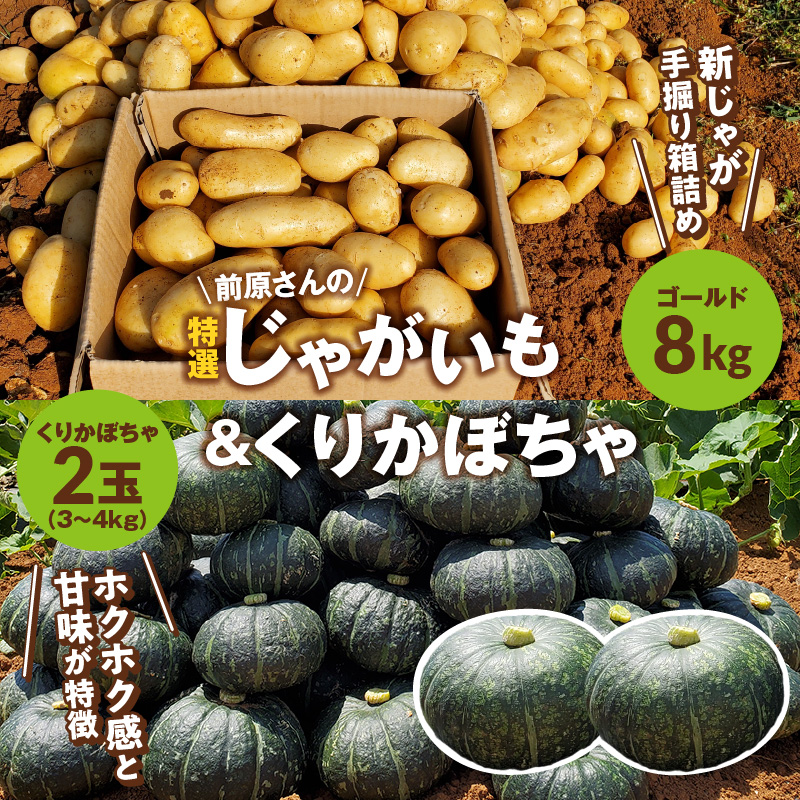 【2026年先行予約】前原さんの特選 じゃがいも ゴールド 8kg＆くりかぼちゃ 2玉　C062-T04
