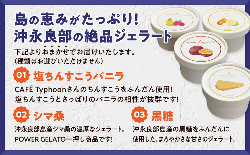 POWER GELATO（ミックスセット6個入り）　C073-004-01