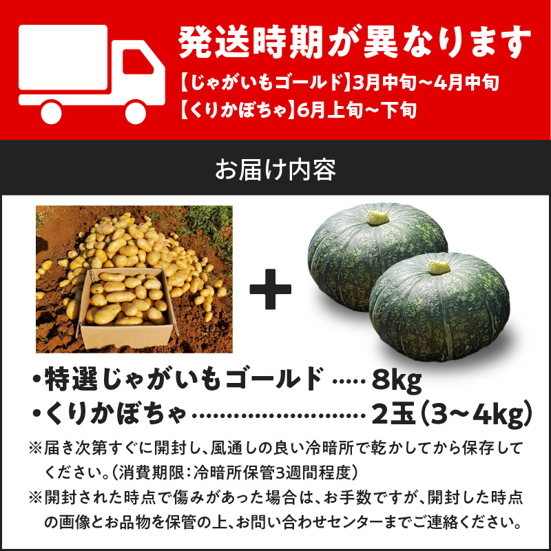 【2026年先行予約】前原さんの特選 じゃがいも ゴールド 8kg＆くりかぼちゃ 2玉　C062-T04