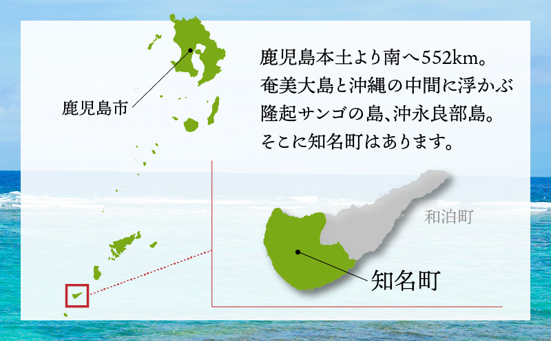 【2025年先行予約】ふじ農園の完熟マンゴー 2kg　C031-002