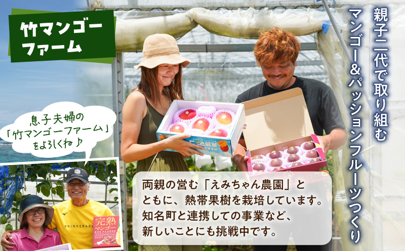 【2026年先行予約】竹マンゴーファームのプレミアム完熟マンゴー2キロ（大玉4個入り）　C039-007