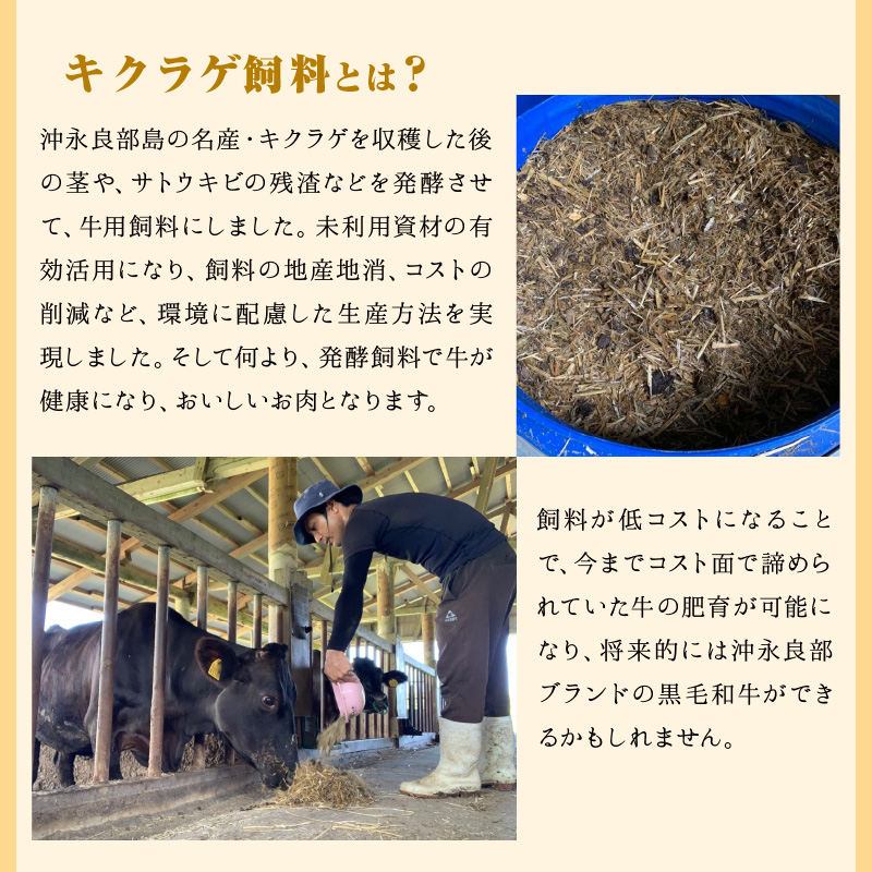 【2025年先行予約】きくらげ牛の肉そぼろ 100g×2セット　C037-003-02