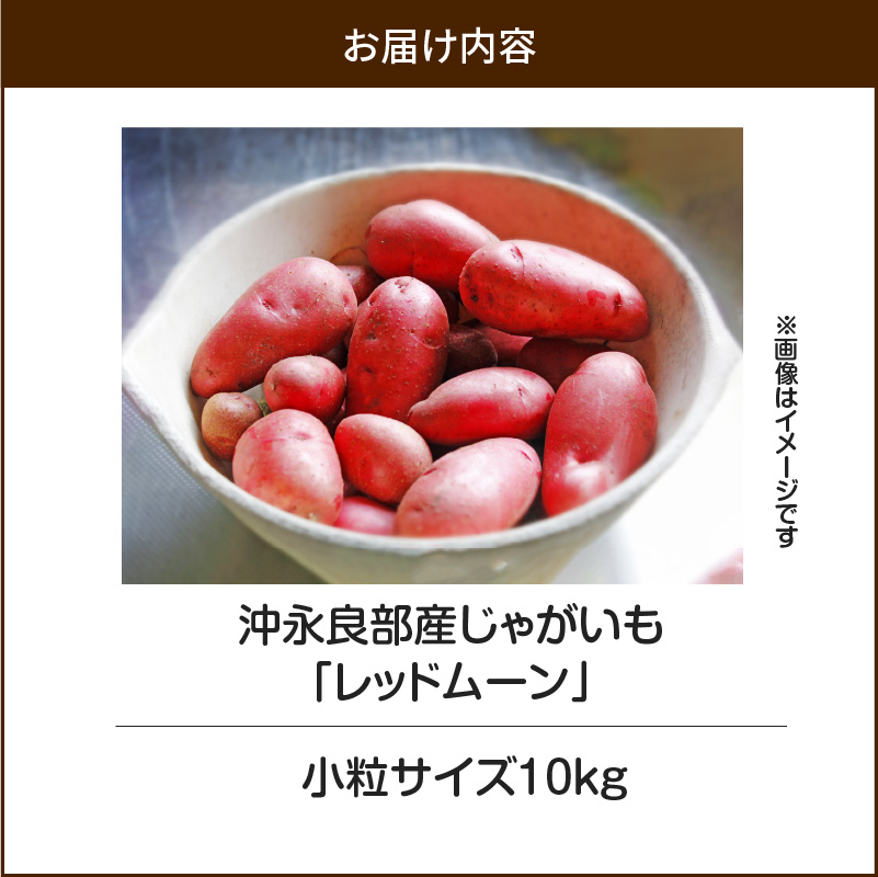 【2025年先行予約】沖永良部産じゃがいも『レッドムーン』小粒サイズ10kg　C065-002-02