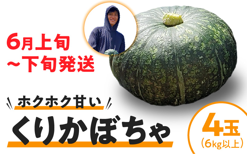 【2026年先行予約】くりかぼちゃ 4玉（6kg以上）　C062-003-02