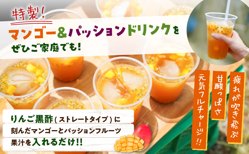 【2026年先行予約】竹マンゴーファームの完熟マンゴー1キロ（2〜3個入り）　C039-004