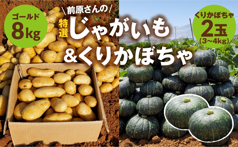 【2026年先行予約】前原さんの特選 じゃがいも ゴールド 8kg＆くりかぼちゃ 2玉　C062-T04